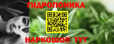 шишки Обнинск
