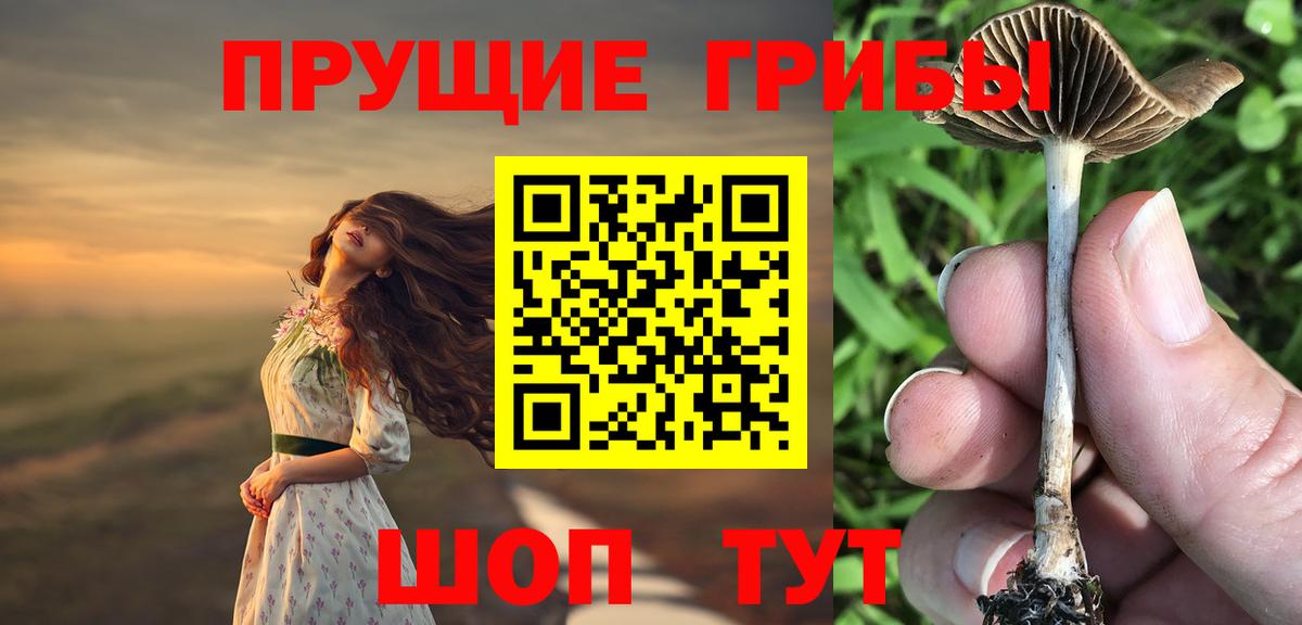 Североморск  Галлюциногенные грибы мухоморы  даркнет сайт  Вход с VPN  Галлюциногенные грибы ЛСД 