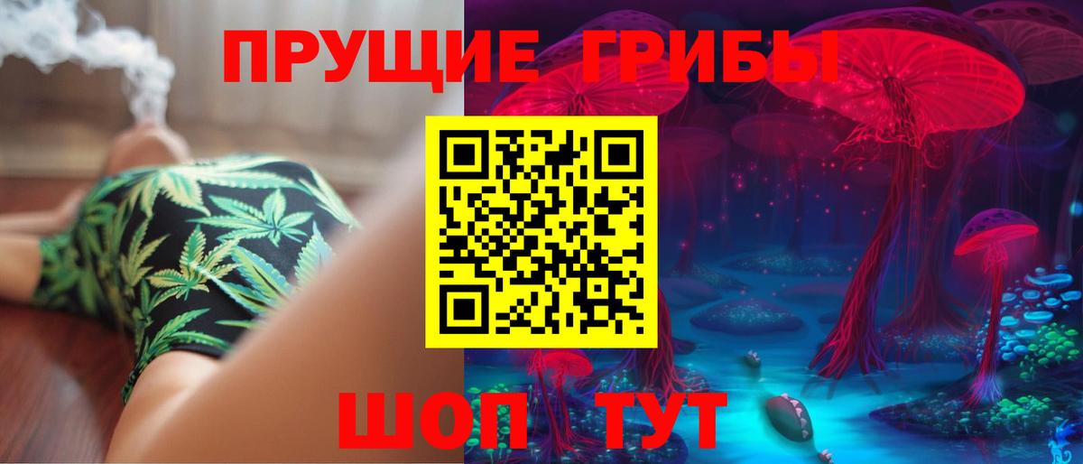 Галлюциногенные грибы Cubensis Североморск